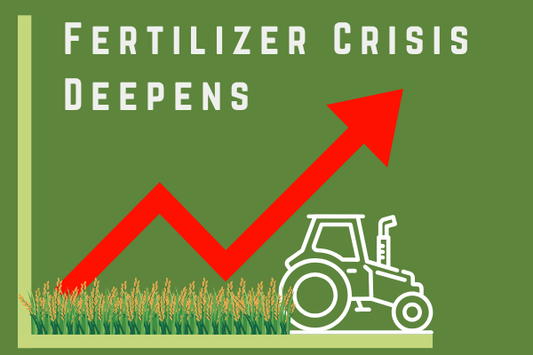 Why Fertilizer Prices Keep Spiking (and What That Means for Home Gardeners)